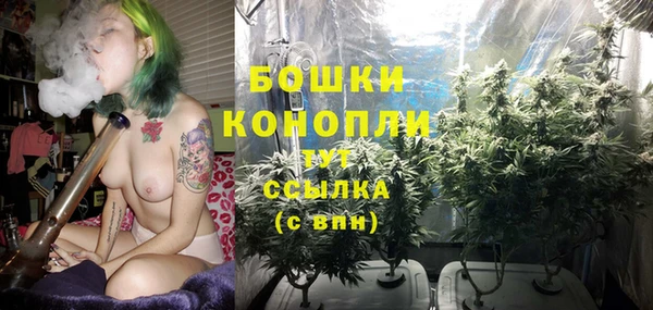 Альфа ПВП Беломорск