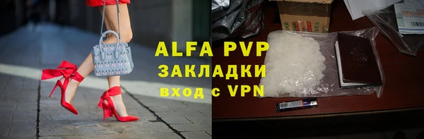 a pvp Белокуриха