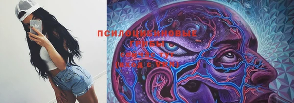 Альфа ПВП Беломорск