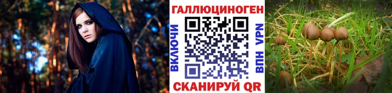 MEGA сайт  Югорск  Галлюциногенные грибы ЛСД 